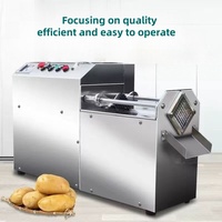 Multifunctionele groente- en fruitsnijder voor aardappel- en wortelchips, 750W motor, 220V, 2 jaar garantie