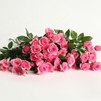 Yunnan vente en gros de fleurs coupées fraîches, tête de pulvérisation Roses Roses pour la maison décoration d'arrangement de fleurs de saint-valentin