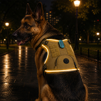 Harnais pour chien Qcool anti-traction, rechargeable par USB, haute visibilité, personnalisable OEM, pour la marche nocturne, avec éclairage LED, respectueux du cou