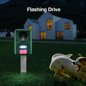 Répulsif à ultrasons pour animaux certifié OEM CE ROHS, pour oiseaux, chats, chiens, souris, jardins, appareil alimenté, <span class=keywords><strong>été</strong></span>, écologique - Product Image 4