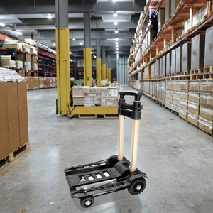 LianShengGaoKe BY04 Mini chariot à bagages pliable en plastique à 4 roues avec structure de plate-forme pour le shopping utilitaire-OEM/ODM personnalisable - Product Image 4