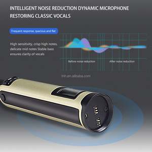 TNH UM-SKM9000 Guter Preis Profession elles Aufladen Karaoke Singing Reverb Adjusted 4 Channel 2.4g Mikrofon - Product Image 4