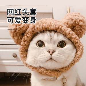 Gorro de gato y león para celebridades de internet, lindo sombrero pequeño, orejas de conejo, peluca divertida, disfraz de Navidad, atuendo para mascotas - Product Image 3