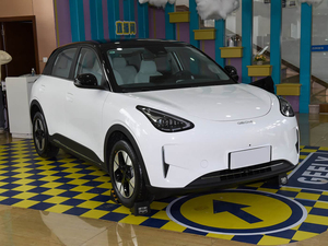 Geely <span class=keywords><strong>Star</strong></span> Wish 2026, Versione Explore 410km, Veicolo Elettrico a 5 Posti, Mini EV a Lunga Autonomia per Spostamenti Quotidiani - Product Image 4