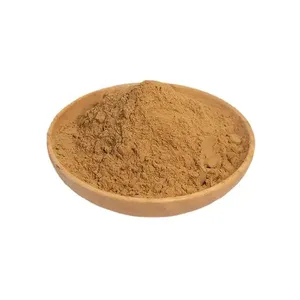 Fruit Powder Citrus Powder Orange Peel Powder Natural Flavoring Food Coloring Beverage Flavor Culinary Ingredient