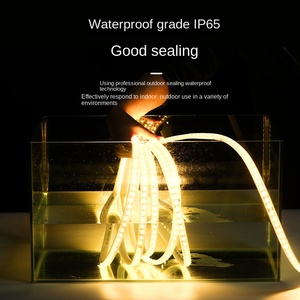 ไฟ LED คุณภาพสูง 240LEDs/m แถบไฟ LED ขนาด 4 มม. แผงวงจร PCB สีขาว DC 12V IP65 สำหรับใช้ภายในอาคาร ตัดได้ ควบคุมด้วยรีโมท CRI80 แสงเดย์ไลท์ 6000K - Product Image 2