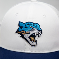 Gorra de Béisbol Personalizada de Alta Calidad al por Mayor, de 6 Paneles, de Algodón con Visera Curva, Estilo Urbano, Bordado Hip-Hop, Ropa Urbana