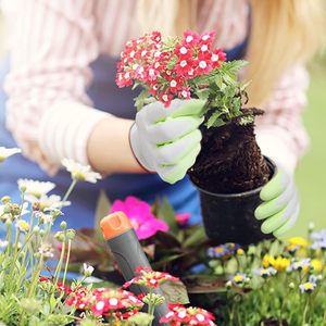 GLOVEMAN Gants de jardin pour femmes Rose Rose Vert Aqua Gants de travail enduits de mousse de <span class=keywords><strong>latex</strong></span> - Product Image 6