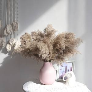 Herbe <span class=keywords><strong>de</strong></span> la pampa, fleurs séchées, tiges <span class=keywords><strong>de</strong></span> roseaux, pommes <span class=keywords><strong>de</strong></span> pin, boules <span class=keywords><strong>de</strong></span> <span class=keywords><strong>coton</strong></span>, fleurs <span class=keywords><strong>de</strong></span> blé naturelles, fleurs préservées, séchées à l'air, 100% naturelles, bricolage - Product Image 5