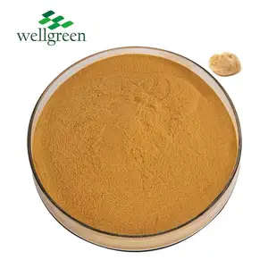 Wellgreen Supply Lion's Mane Powder Polysaccharides 30% 50% Hericium Erinaceus Extract