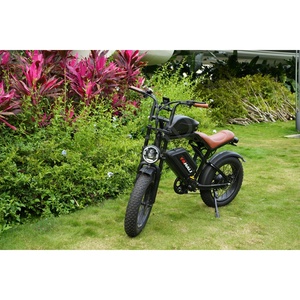 Bicicleta Eléctrica de Montaña de Alta Calidad Ecoridev2, 750w, 15.6ah, Neumáticos Anchos, Largo Alcance, para Adultos, V2, Europea - Product Image 5