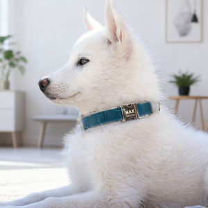 Accesorios para mascotas de poliéster peludo para caminar al aire libre, hebilla de Metal duradera ajustable, conjunto de Collar y correa para perros y gatos - Product Image 6