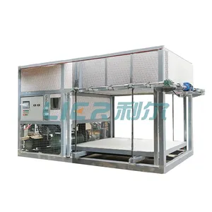 High Quality Direct cooling block ice machine System 10tons 20tons 30tons