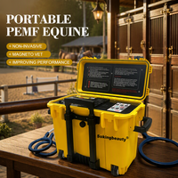 Appareil PEMF équin pour cliniques vétérinaires, dispositif de thérapie équine portable, fabricant direct d'usine, OEM ODM