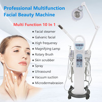 10/11 en 1 machine faciale galvanique à haute fréquence multifonctionnelle sel professionnel machine à vapeur faciale équipement de salon de beauté