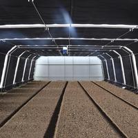 Serre tunnel agricole OEM d'usine en HDPE et polyester, 100% occultante, grande structure stable, facilement assemblable
