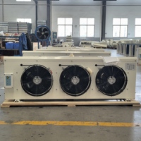 Enfriador de Aire de Techo Serie DJ, Evaporador para Cámaras Frigoríficas de Baja Temperatura, -25°C, Descongelación Eléctrica, OEM