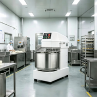 Machine à pétrir de haute technologie 10 kg 20 25 50, mélangeur à pâte commercial pour pain italien