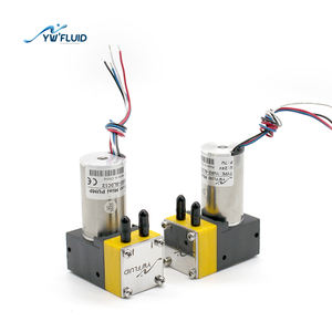 YW02 A-BLDC Borstelloze Lage Druk 12V 24V Micro Diafragmapomp Mini Luchtcompressor Elektrische Voeding Draagbare Slimme Pomp OEM/ODM - Product Image 3