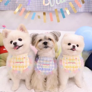 Lindos baberos de cumpleaños para mascotas, a cuadros, bordados con diseño de pastel, para perros y gatos, para todas las estaciones, atuendo de fiesta - Product Image 3
