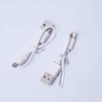Câble de charge USB Type-C en gros, blanc, 0,2 m, micro-tressé TPE/PVC, conducteur en cuivre pur, 0,5A 0,8A, connecteurs Type-C, OEM/ODM