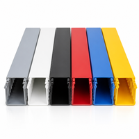 Goulotte de câblage rigide ignifuge en PVC 80x30mm pour la gestion des câbles de tableau électrique