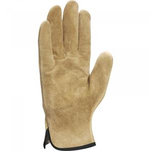 DELTA PLUS - FIB4909 Gant en cuir pleine fleur beige hydrofuge avec paume retournée (multi-pack) GANTS - Product Image 2