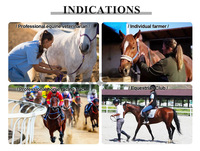 Appareil de thérapie par ondes de choc pour chevaux, machine à ondes de choc ciblées pour chevaux, pour soulager la douleur et favoriser la récupération musculaire, ondes de choc focalisées, OEM ODM personnalisé