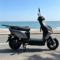 Scooter électrique CKD SKD 10 pouces pour 2 personnes, 600/800W, vitesse 50 km/h, moto électrique pour adultes à vendre