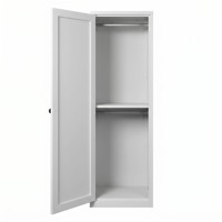 Armoire en acier élancée avec double tringle, gain de place, support de placard, prix usine, OEM, sans formaldéhyde, saine