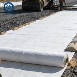 Tissu filtrant géotextile en PP Bidim NT2500 non tissé pour drainage routier en Tanzanie - Product Image 5