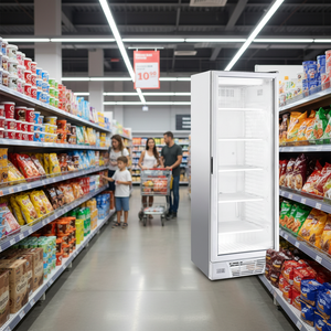 Klimasan 374 L - Vitrina Exhibidora Vertical Comercial con Puerta de Vidrio para Helados y Alimentos Congelados, Congelador, Refrigerador, CE - Product Image 3