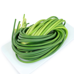 buy touchhealthy supply good quality garlic sprout in china on