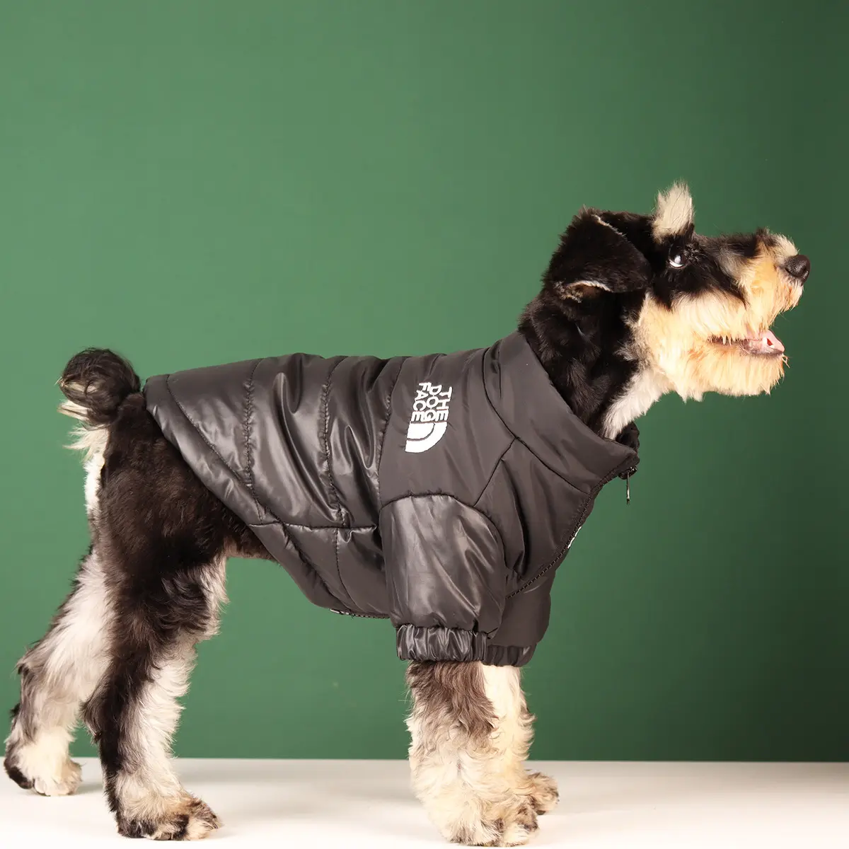 Chaqueta con cara de perro, abrigos de invierno de alta marca, ropa para mascotas, diseñador, ropa para perro de lujo, venta al por mayor