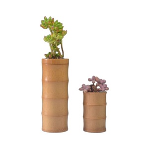 Bamboo Flower Pot Circular Desktop Vase Nordic Style Plant Container For Indoor Decoration - Product Image 5