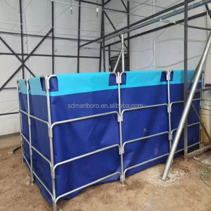 Système de pisciculture hors sol <span class=keywords><strong>pour</strong></span> l'aquaculture et les légumes Recirculation Biofloc Tarpaulin Fish Pond Tanks Equipment - Product Image 2