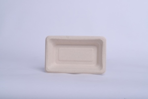 Boîte à sushi écologique en pulpe de bagasse 100 % recyclable, plateau alimentaire en pulpe recyclée non blanchie - Product Image 1