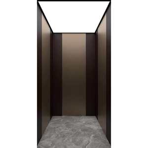 <span class=keywords><strong>Ascenseur</strong></span> résidentiel moderne FUJI AC en acier inoxydable, silencieux, sans engrenages, <span class=keywords><strong>pour</strong></span> villa de luxe et <span class=keywords><strong>maison</strong></span> <span class=keywords><strong>privée</strong></span> - Product Image 1