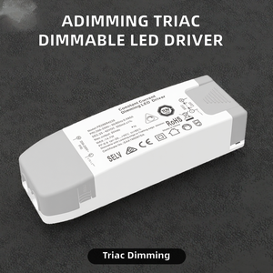 Driver LED à sortie unique dimmable Triac/Dali ADIMMING PE296B 200-250V AC 12-18W pour éclairage public - Product Image 2