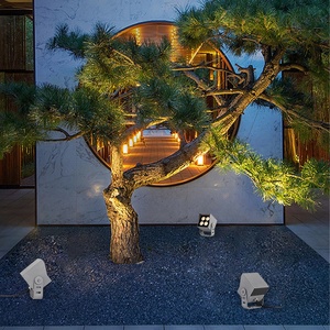 IP66 không thấm nước nhôm vườn <span class=keywords><strong>LED</strong></span> ngoài trời Spotlight 3W-32W có thể điều chỉnh màu ấm đèn pha cao sáng SMD cho cảnh quan Mini - Product Image 5