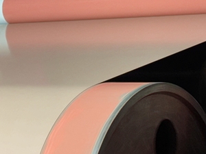 Bobine d'acier galvanisé prélaqué Z30-Z40 DX51D, galvanisé à chaud, revêtement couleur, norme ASTM - Product Image 6