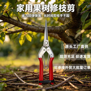 Jolies cisailles de taille extensibles avec lame de 205 mm et coupe de 65 mm pour le jardinage, la floristerie et l'utilisation en verger - Product Image 5