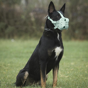 Nuovo Museruola Kangdarpet di Alta Qualità in Pelle Resistente e Anti-morso, Regolabile per Cani di Taglia Grande come Malinois, Pastore e <span class=keywords><strong>Pitbull</strong></span> - Product Image 3