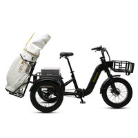 Tricycle électrique TXED 48V 15Ah, puissance 500W, pneus larges 20x4.0, 3 roues, engrenage différentiel, panier de rangement arrière, vélo électrique de golf