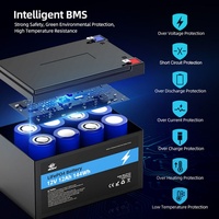 Batterie rechargeable Melasta 12V 12Ah LiFePO4 3000 cycles avec protection BMS intégrée pour l'éclairage solaire, les détecteurs de poissons, les scooters
