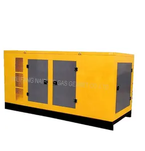 CE approved biogas generator/gas power plant 10-500kW
