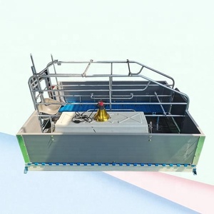 Nueva Jaula de Parto para Cerdas HENGYIN al por Mayor, Acero Galvanizado en Caliente, Certificación CE ISO 9001, Vida Útil de 15-25 Años, Totalmente Automática - Product Image 3