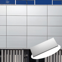Revêtement mural extérieur effet aluminium pour bâtiments modernes, panneaux en fibrociment métalliques argentés, système de mur-rideau