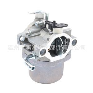 Carburador Briggs Stratton P2 590399 para motor 796077 215807 590399, pieza de repuesto de tipo mecánico - Product Image 1