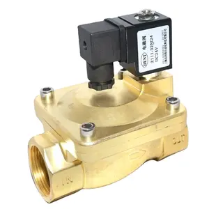 Good Price solenoid valves water hydraulic Z111 2 Way electric water valve 12V 24V dc 110V 220V ac 1 inch Brass solenoid valve